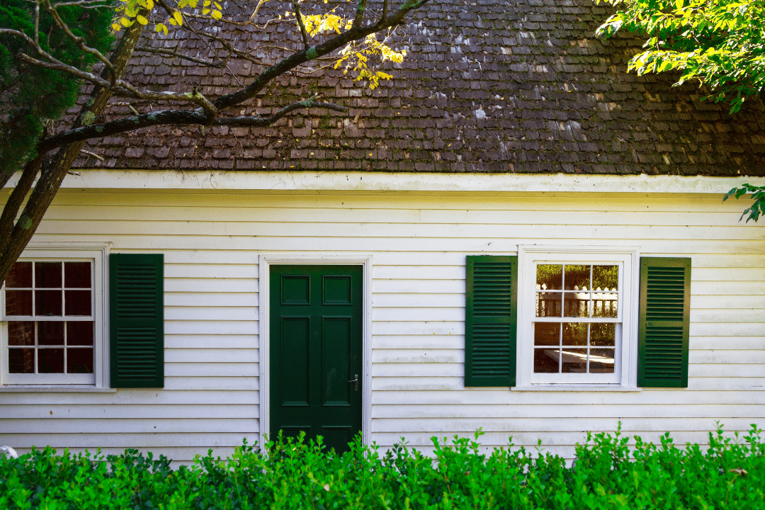 Green plantation shutters